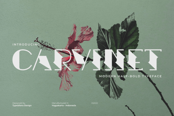 Carvinet Display Font for Scroll-Stopping Marketing Visuals