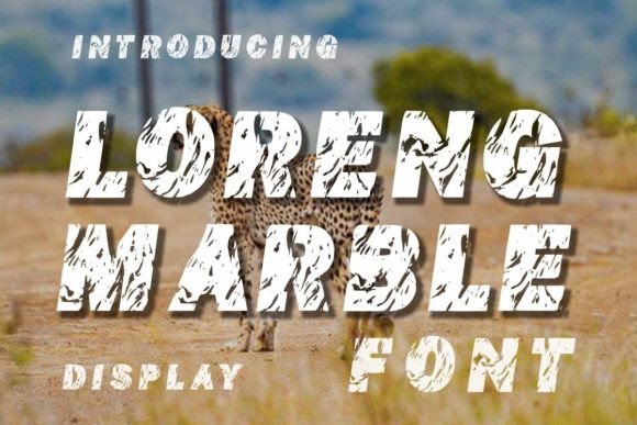Loreng Marble: The Marble Texture Display Font for Creatives