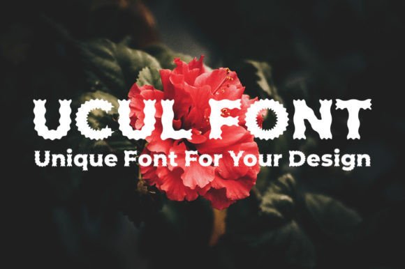 Ucul: A Quirky Display Font for Memorable Branding